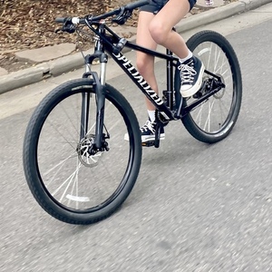 2022 Specialized Mountain bike Black