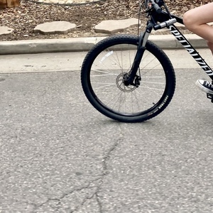2022 Specialized Mountain bike Black