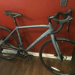Fuji Sportif LE one.0 Silver, gray or bare metal and Green