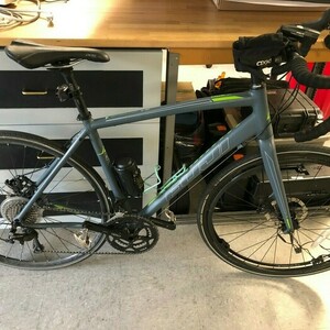 Fuji Sportif LE one.0 Silver, gray or bare metal and Green