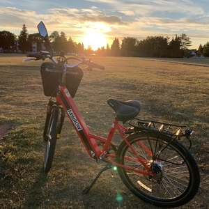 2019 DAYMAK Paris 36v Red