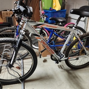 Specialized Rockhopper Silver, gray or bare metal