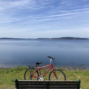 Trek Navigator 300 Red