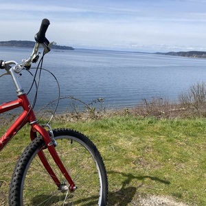 Trek Navigator 300 Red