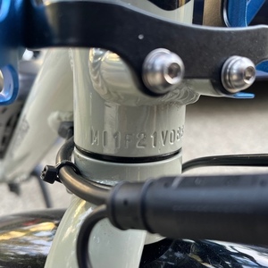 2020 Rad Power Bikes Radmission 1 (High Step) Silver, gray or bare metal and Black