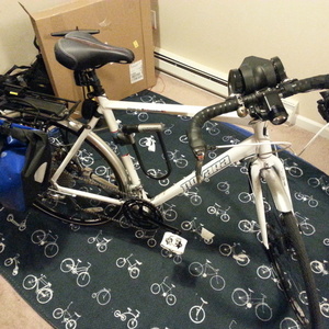 2014 Novara Zealo White