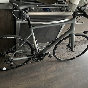 2021 Parlee Altum Disc Silver, gray or bare metal