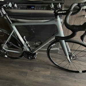 2021 Parlee Altum Disc Silver, gray or bare metal