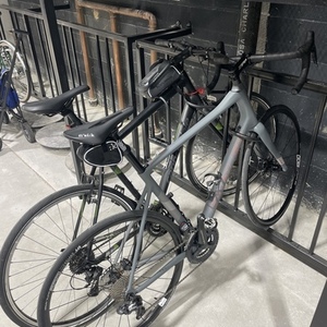 2021 Parlee Altum Disc Silver, gray or bare metal