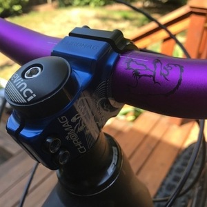 2017 Devinci Sparten Black