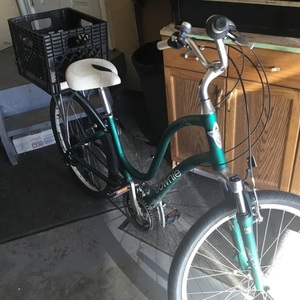 Electra Townie Green