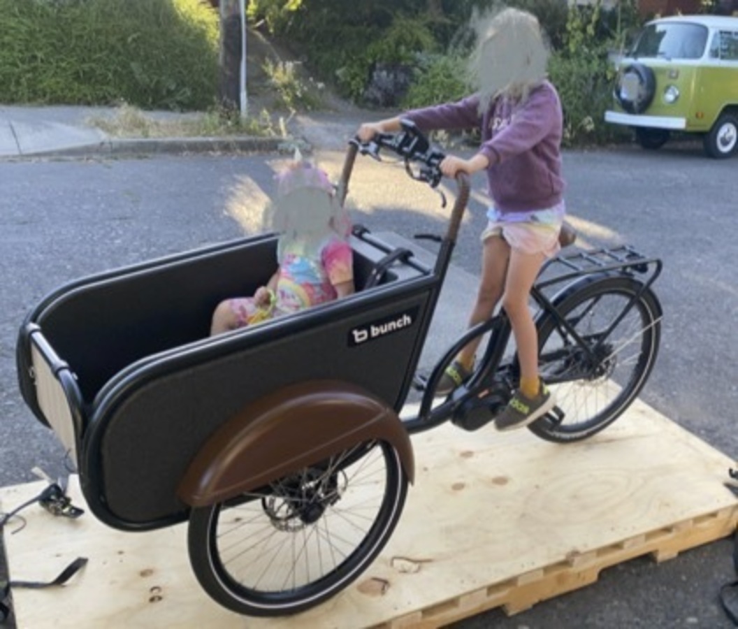 Cargo Tricycle photo