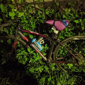 2018 Giant Avail SL 2 Disc Black, Purple, and Red