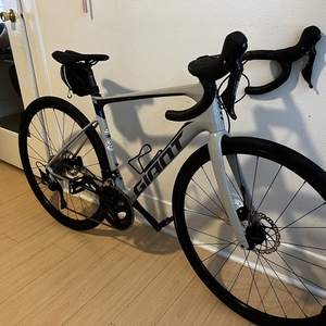 2021 Giant Defy Advanced 2 (M) Silver, gray or bare metal