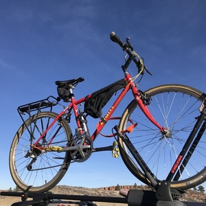 1990 Giant Iguana Red and Yellow or Gold