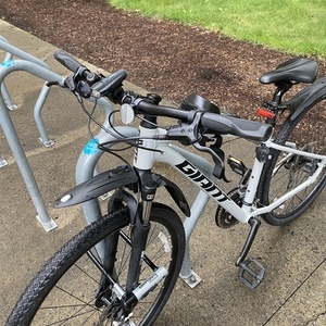 2021 Giant Roam 3 Disc Silver, gray or bare metal