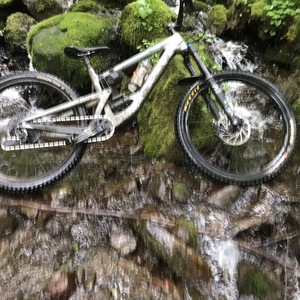 2019 Santa Cruz Bronson c27+kit Silver, gray or bare metal