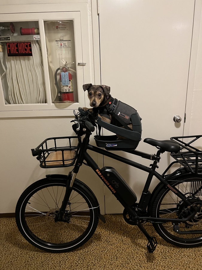 Bike photo