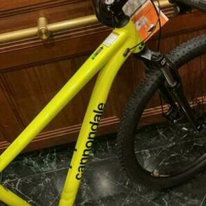 2020 Cannondale Trail 7 / Medium size (wheels 29) Yellow or Gold