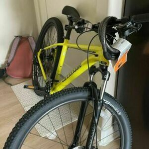 2020 Cannondale Trail 7 / Medium size (wheels 29) Yellow or Gold