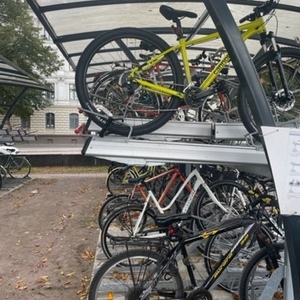 2020 Cannondale Trail 7 / Medium size (wheels 29) Yellow or Gold