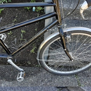 Rodriguez Toucan Black