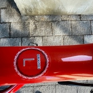 2021 Devinci Mountain Bike Red