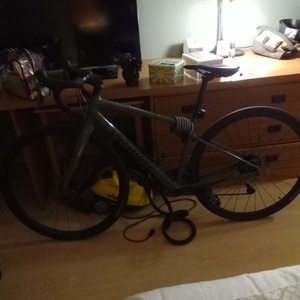 2021 Specialized Diverge Green