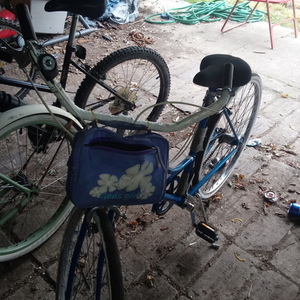 1959 Schwinn Collegiate 26" Blue