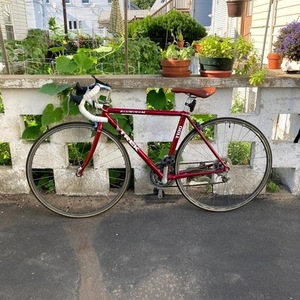 Trek 1100 Red