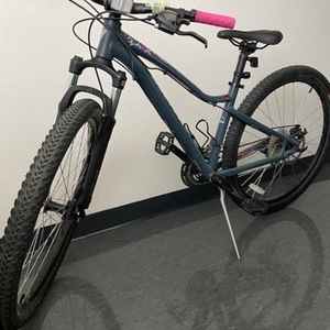 2017 Specialized JYNX Blue