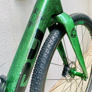 2019 Spry Cycles Pyxis Green and Black
