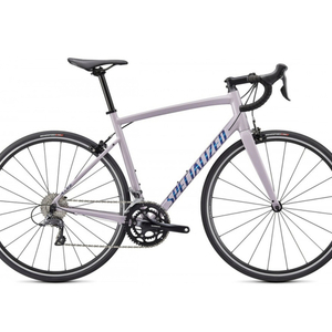 2021 Specialized Allez Silver, gray or bare metal