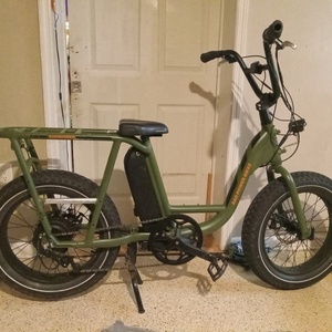 2021 Rad Power Bikes Radrunner 2 Green