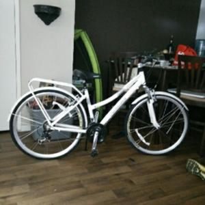 Schwinn Discover White and Silver or Gray