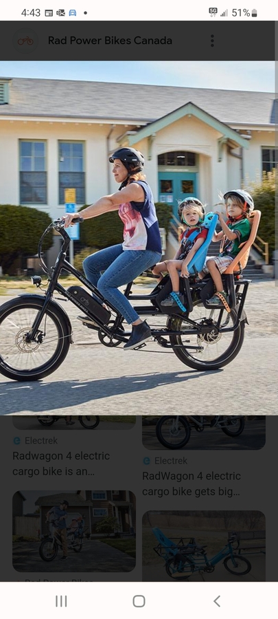 Cargo Bike Rear photo