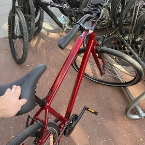 2021 Specialized ISO 4210-2-C Red