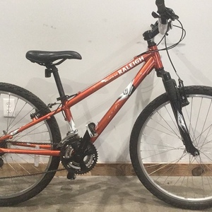 Raleigh Mojave 2.0 Orange
