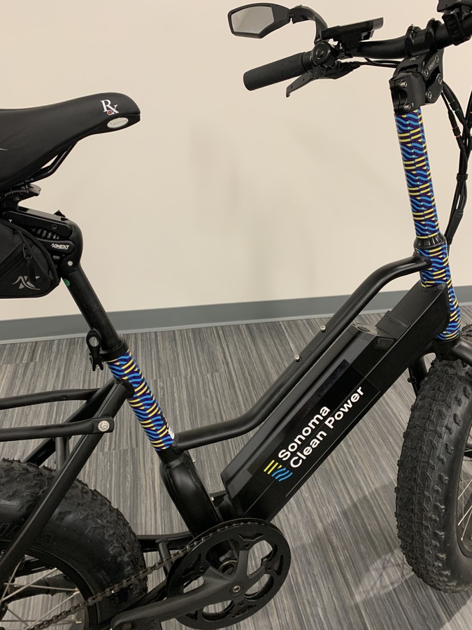 2022 Pedego Element