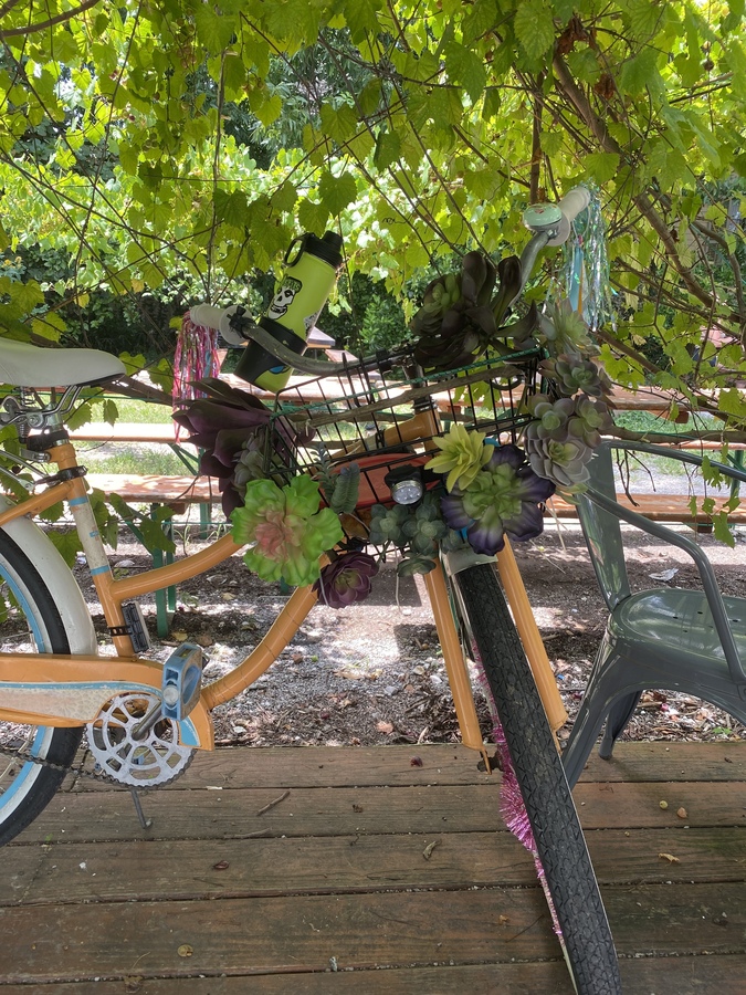 Bike photo