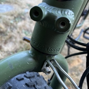 2022 Rad Power Bikes RadRunner 2 Green