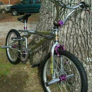Royce Union Bmx Silver, gray or bare metal