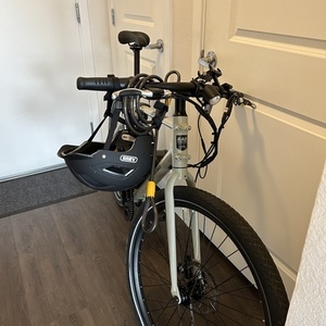 2022 Rad Power Bikes RadMission High Step Silver, gray or bare metal