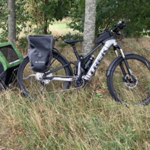 2022 Trek Powerfly FS4 EQ Silver, gray or bare metal