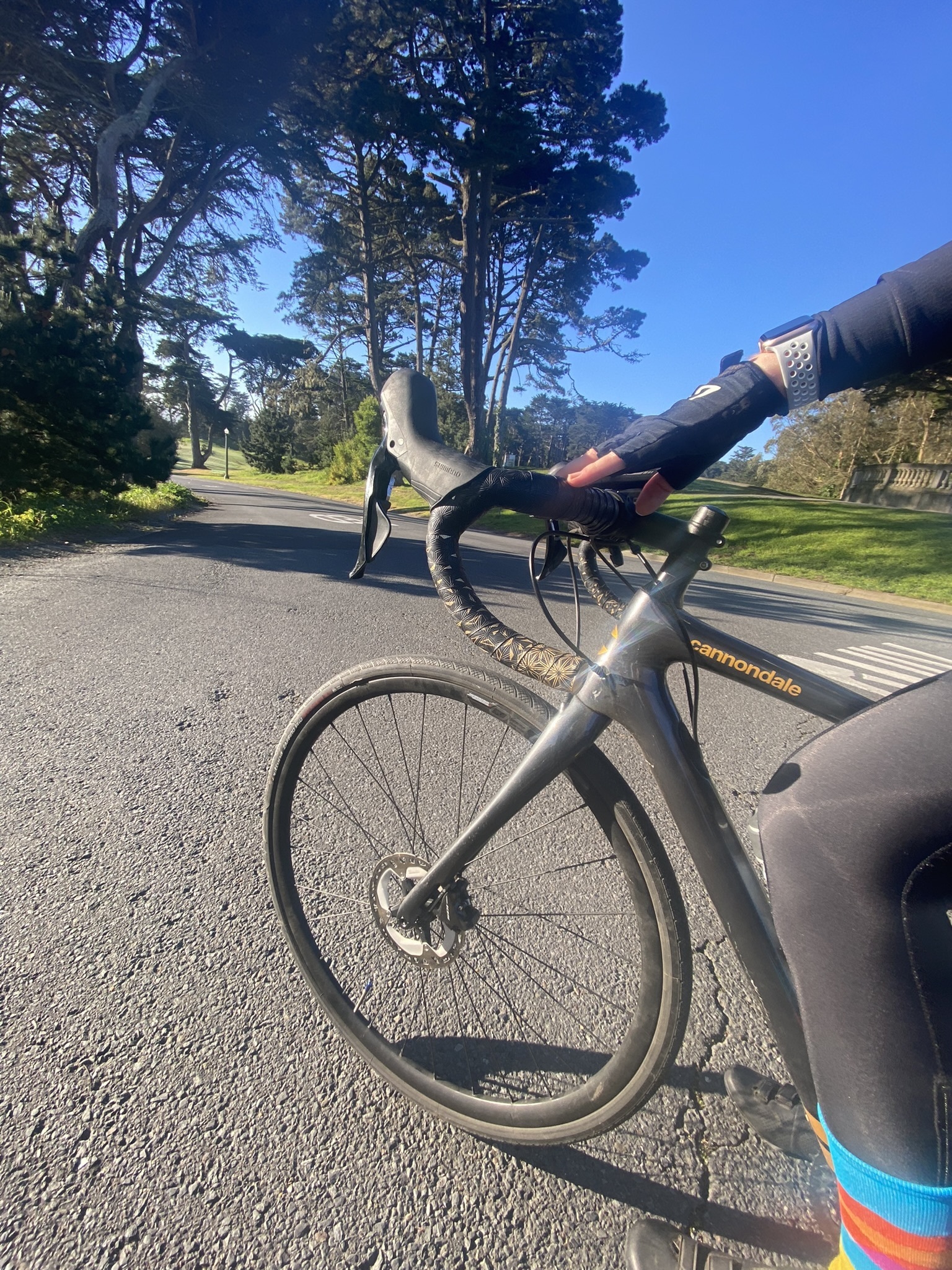 cannondale synapse 2020