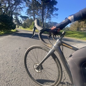 2020 Cannondale Synapse Black and Yellow or Gold