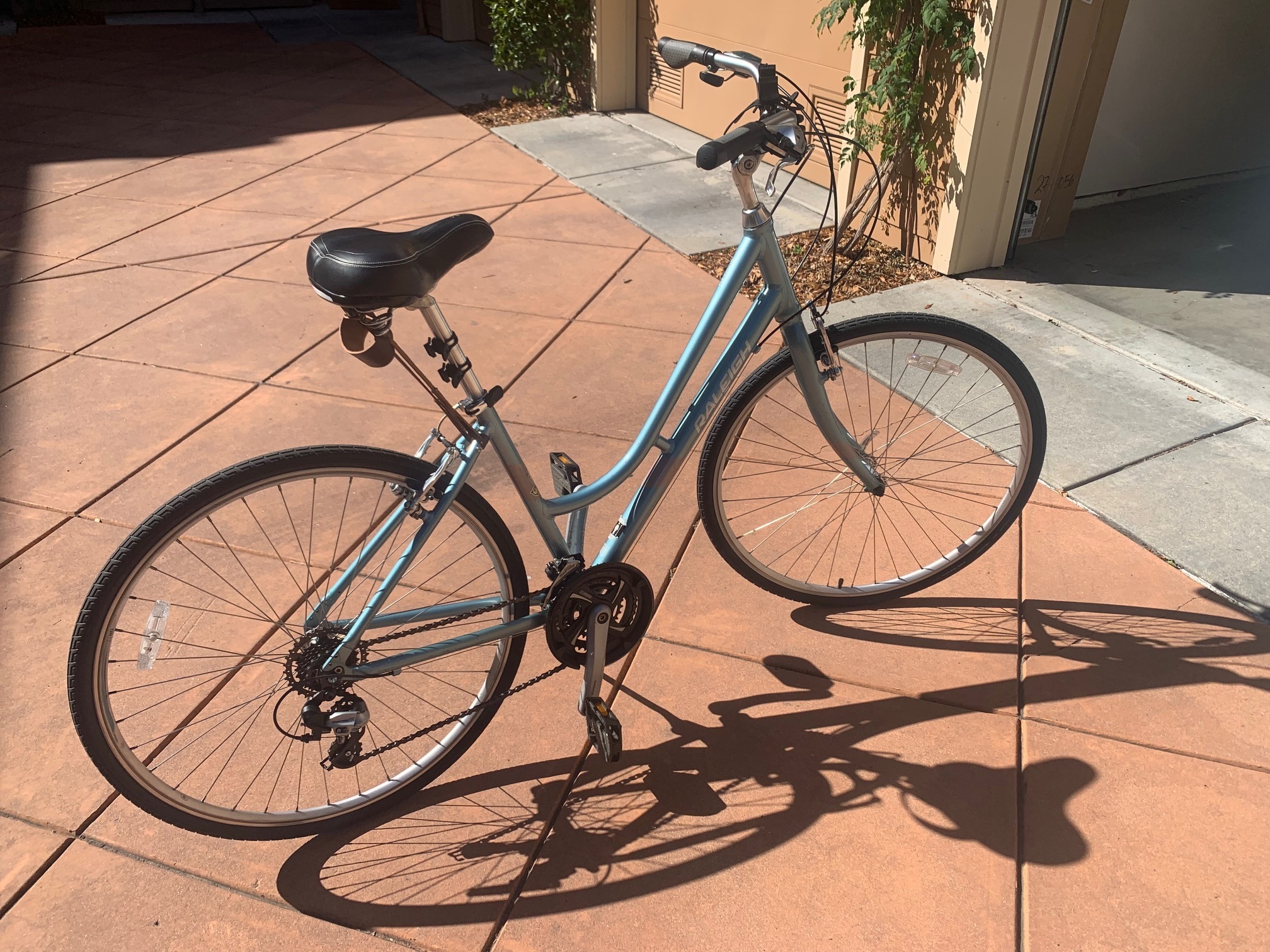 raleigh detour step through