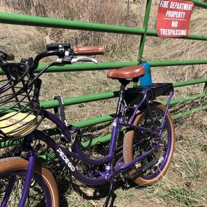 2018 Pedego Interceptor step thru Purple