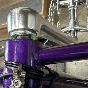 2022 Rivendell Bicycle Works Rosco Platypus Purple