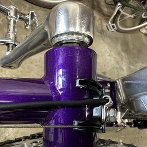 2022 Rivendell Bicycle Works Rosco Platypus Purple